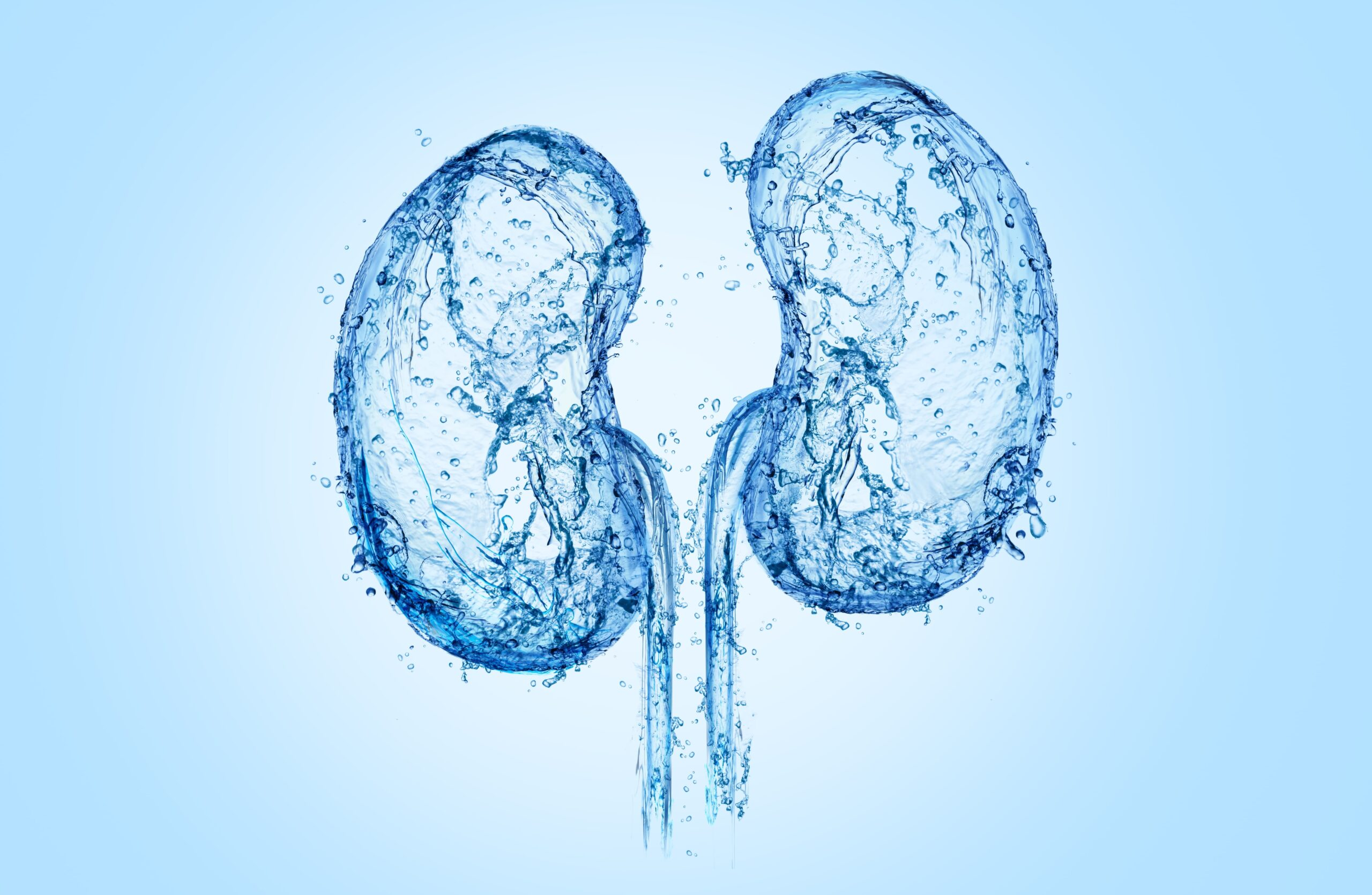 Kidney health illustration with water elements